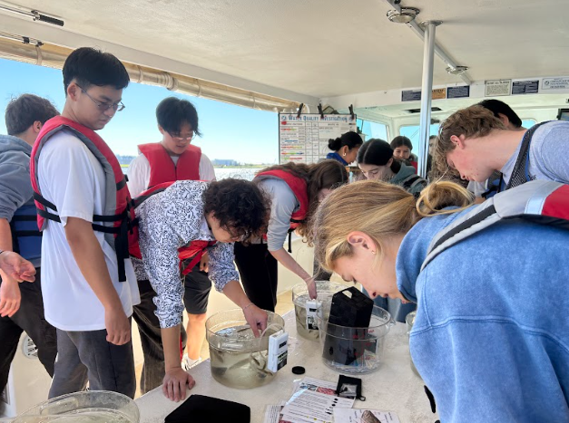 WCHS APES students carefully pick up fish to analyze their characteristics while on their Oct. 23 and 24 field trip. Students use their critical thinking skills to match the characteristics of the caught fish to those described in the booklet to identify their species. 