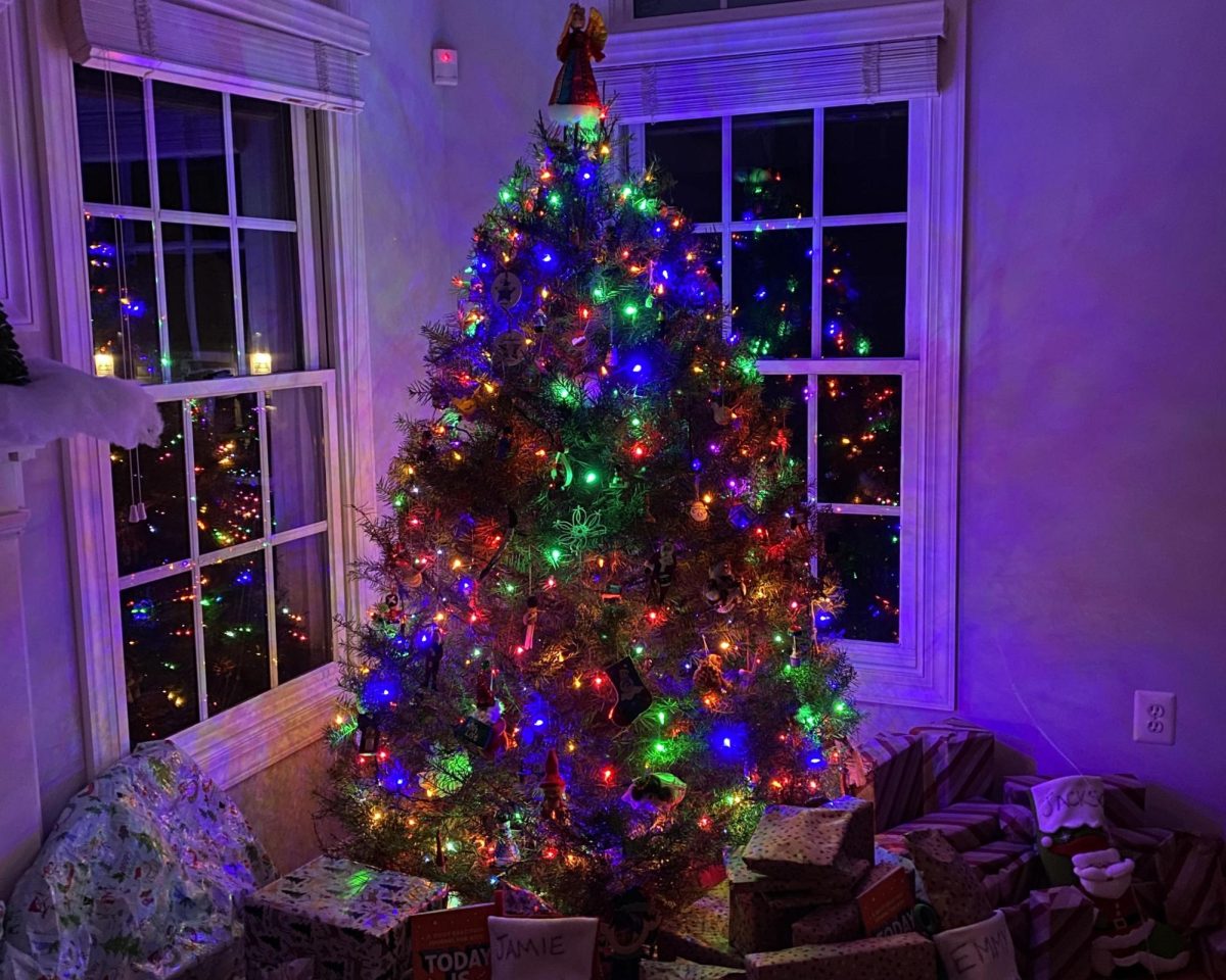 Mrs. Jennifer Miller's family's Christmas tree was set up with festive lights and gifts surrounding the tree for 2023 Christmas. 