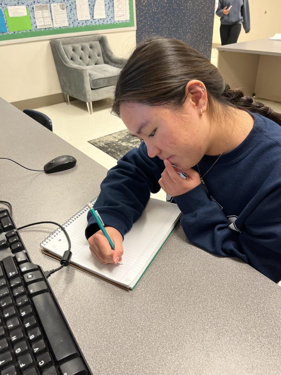 WCHS Junior Isabel Vorabhanda thinks of what her 2025 resolution will be not just for her personal life, but the Observer as well.